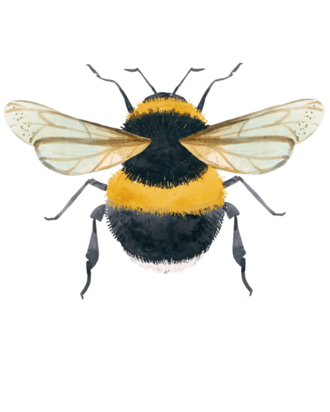 BUMBLEBEE