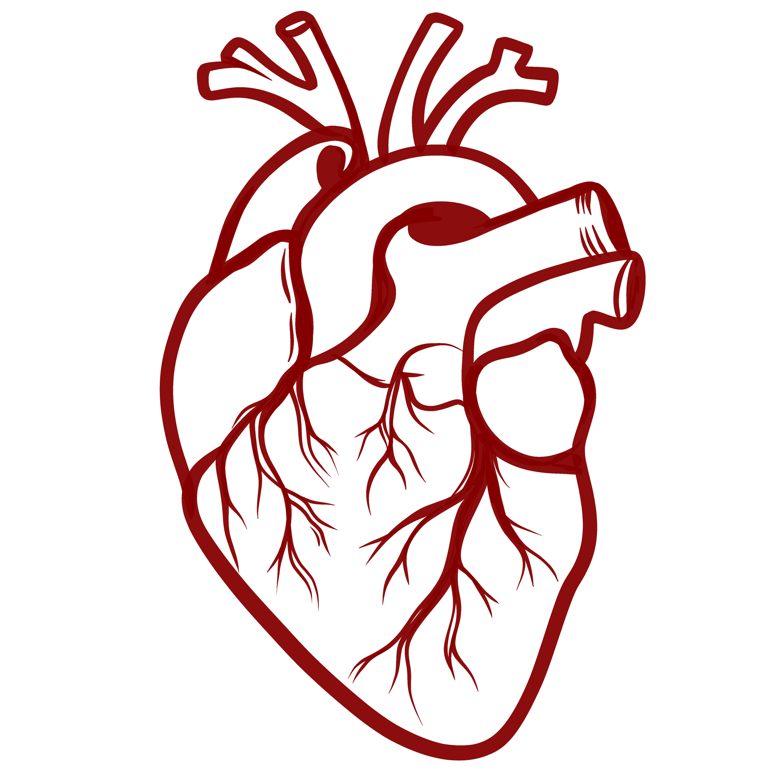 HEART
